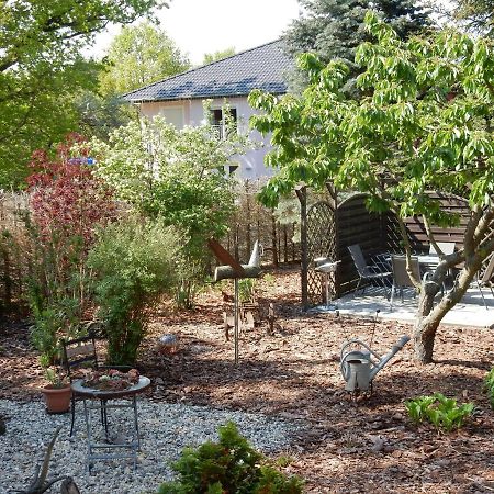 Ferienwohnung In Der "Perle Der Lausitz" Spremberg Exterior foto