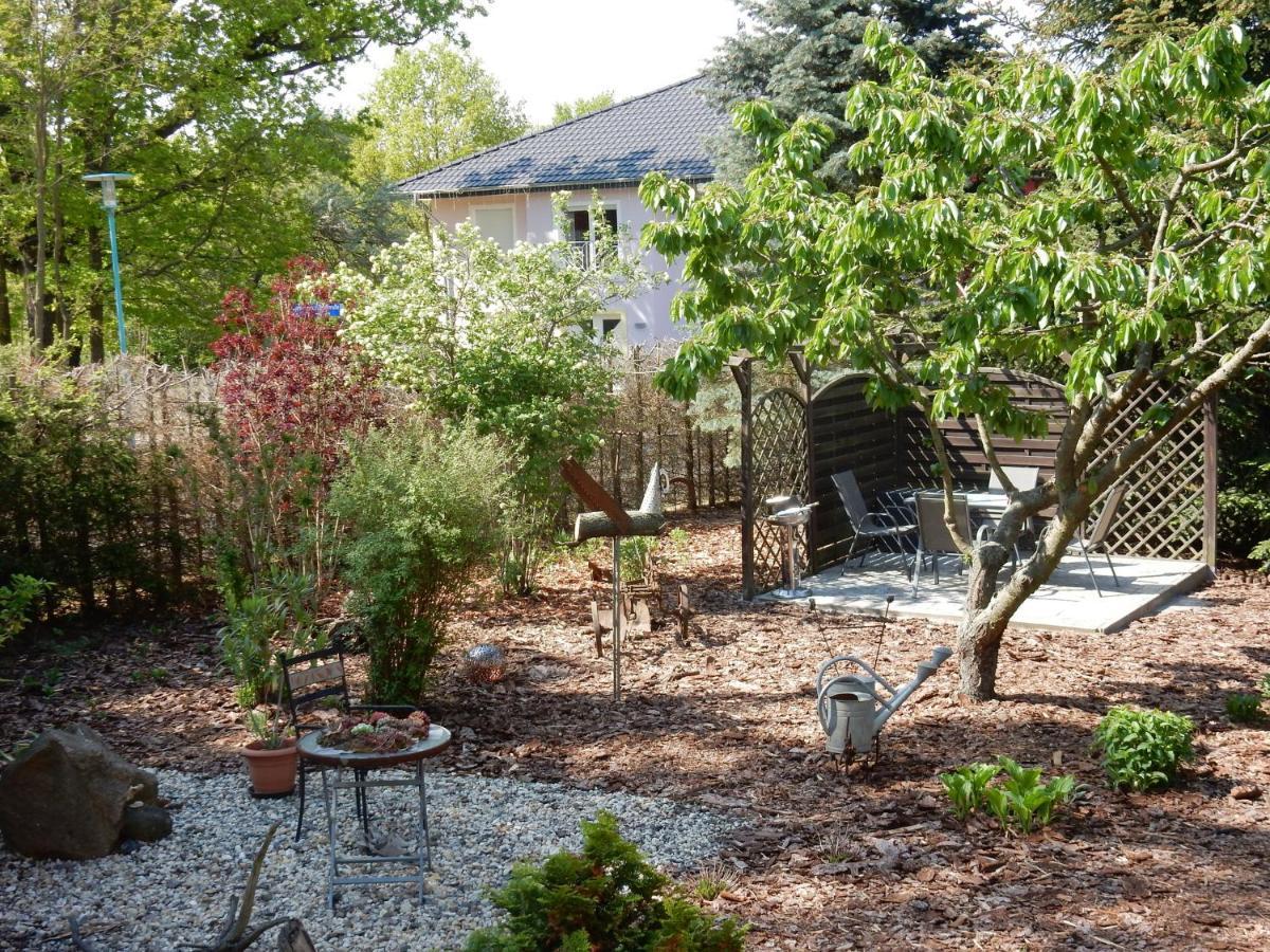 Ferienwohnung In Der "Perle Der Lausitz" Spremberg Exterior foto